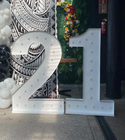 Number 21 LED lights
