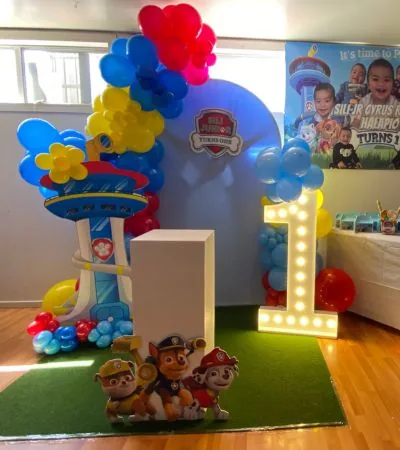 Paw Patrol package